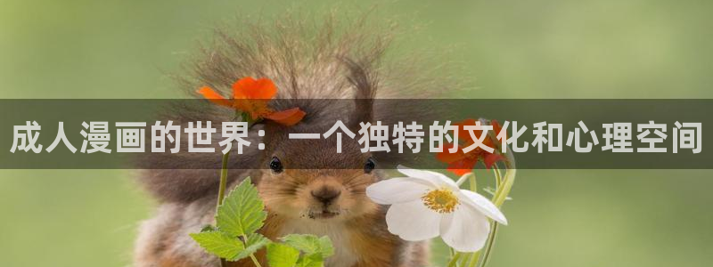 三只小猪贝勒漫画