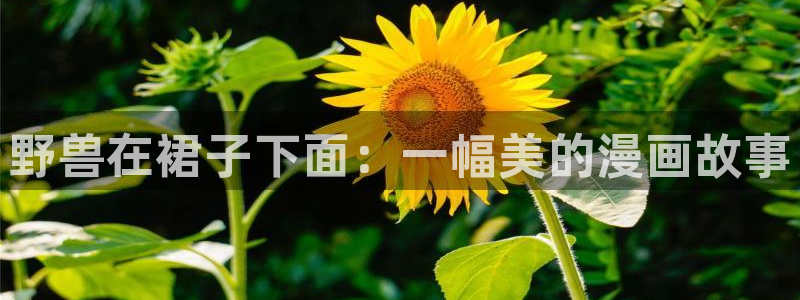 贝勒漫画(网页版)：野兽在裙子下面：一幅美的漫画故事