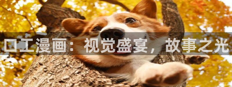 贝勒漫画免费在线观看全集：口工漫画：视觉盛宴，故事之光