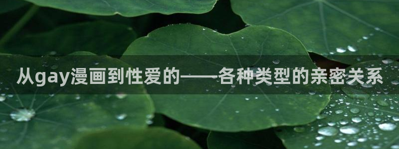 贝勒漫画免费观看：从gay漫画到性爱的——各种类型的亲密关系