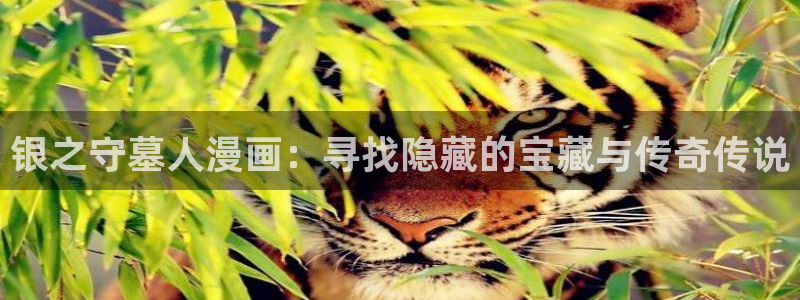 月刊贝勒漫画免费观看
