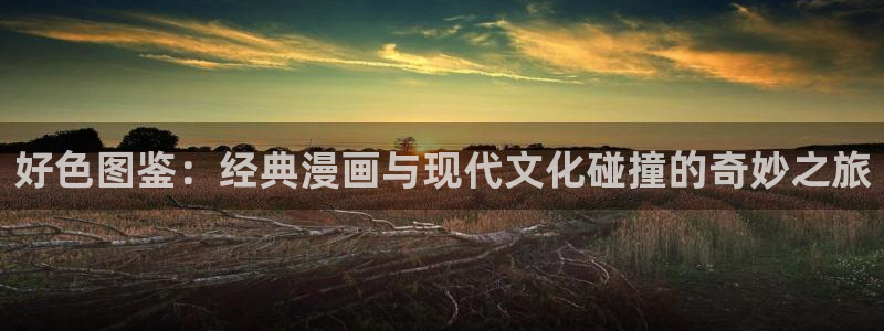 贝勒漫画魔咒：好色图鉴：经典漫画与现代文化碰撞的奇妙之旅