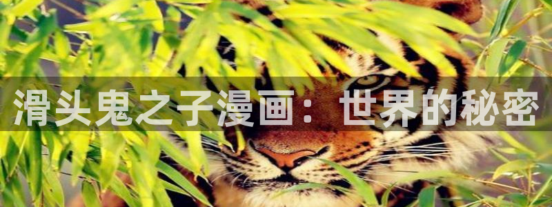 巨人族的新娘漫画贝勒漫画全集：滑头鬼之子漫画：世界的秘密