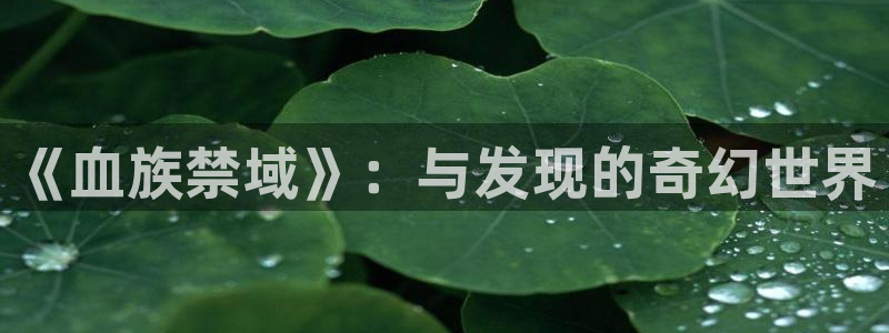 贝勒漫画官网入口：《血族禁域》：与发现的奇幻世界
