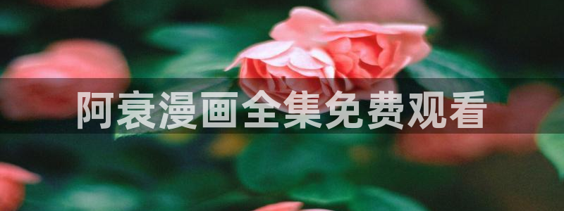 周一救星贝勒漫画：阿衰漫画全集免费观看