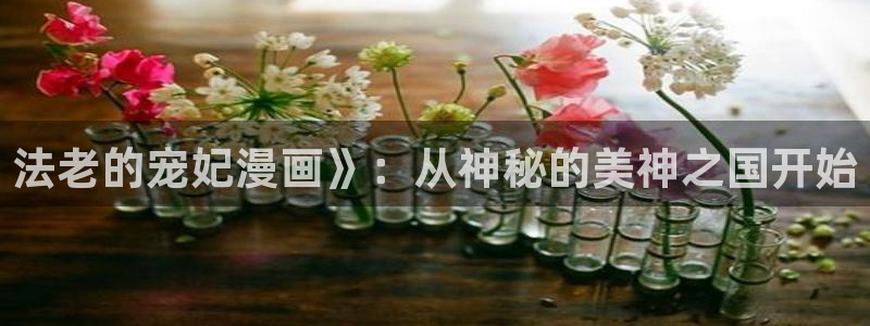 贝勒漫画首页：法老的宠妃漫画》：从神秘的美神之国开始