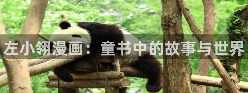 贝勒漫画网页版入口：左小翎漫画：童书中的故事与世界