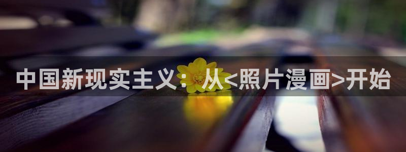 贝勒漫画网页版在线阅读：中国新现实主义：从<照片漫画>开始
