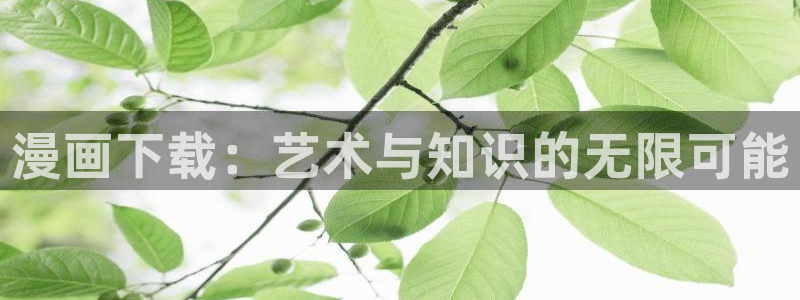 贝勒漫画正版入口：漫画下载：艺术与知识的无限可能