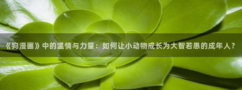 贝勒漫画巨人族的新娘：《狗漫画》中的温情与力量：如何让小动物成长为大智若愚的成年人？