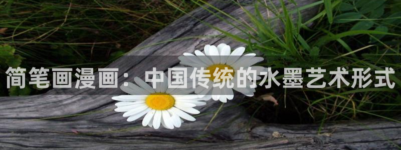 贝勒漫画在线官网：简笔画漫画：中国传统的水墨艺术形式